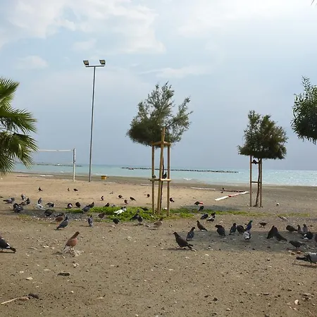 Pafos *