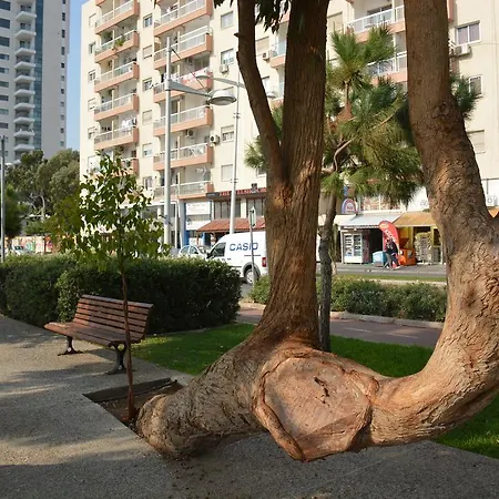 Pafos Limassol